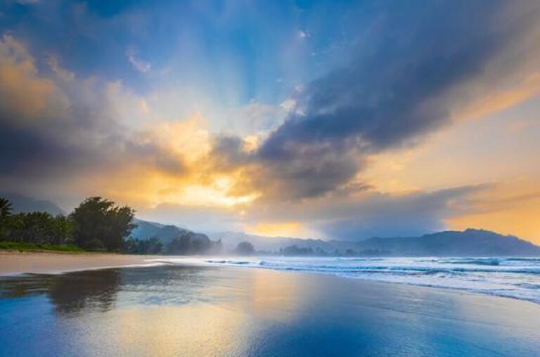 Hawaii Process Service 768x508